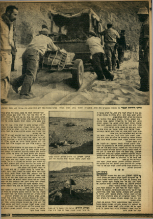 העולם הזה - גליון 996 - 14 בנובמבר 1956 - עמוד 13 | חדרו חיחידח לעכור את החולות הטובעניים היא לרדת מהמכוניות ולדחוף סוף סוף כי הצליח לאתר סיים אחד, וכי הטייס מנופף לו בידים. לפתע נצבט הלב: הירש מודיע כי מכונית