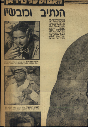 העולם הזה - גליון 996 - 14 בנובמבר 1956 - עמוד 17 | הנתיב 1מבט<י1 בפעולה זו השתתת כוח רב ומגוץ. אילו יכל, היה ״העולם הזה״ מציין בל אחד מאנשיו לחוד. שמונה הלוחמים המופיעים כעמודים אלה הם נציגיו של המחנה הלוחם