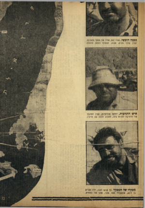 העולם הזה - גליון 996 - 14 בנובמבר 1956 - עמוד 18 | גספח חופשי. .אורי יפה, אחיו של מפקד החטיבה. קצין קרבי וותיק, פצוע. הצטרף למסע מרצונו. איש התרפות. יודקה פוליטרוק, קצין הזזינון של החטיבה למרות גילו, התנדב