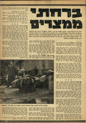 העולם הזה - גליון 999 - 5 בדצמבר 1956 - עמוד 5 | לילה ירד על פורט סעיד. רוכעים שלמים של העיר הושמדו בהפצצות הריכוך־ של הפריטים והצרפתים. יללות צופרי האמבולנסים עלו וירדו בהתמדה. מתוף מקלטי הרדיו בקעו קולותיהם